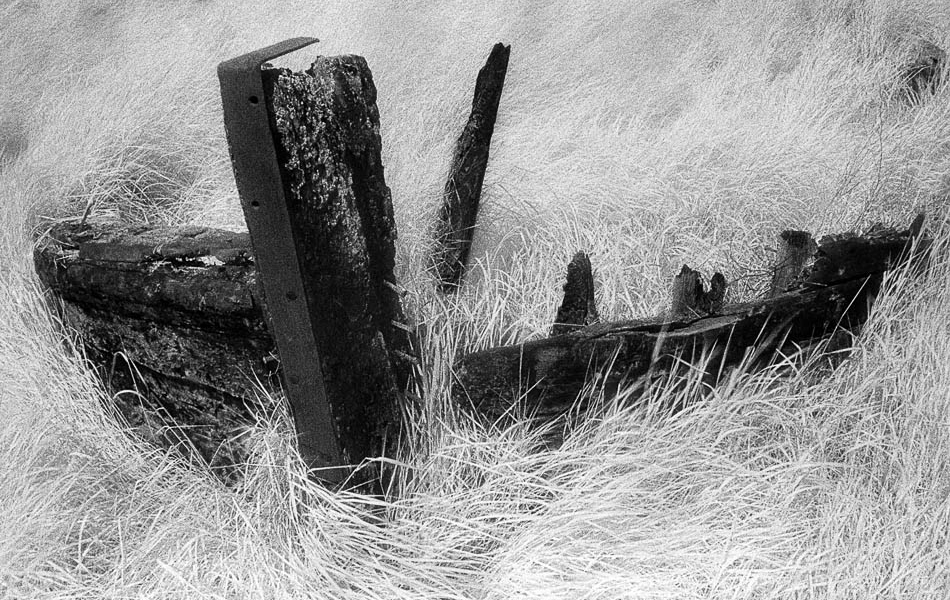 Colin Trow-Poole ARPS Panel