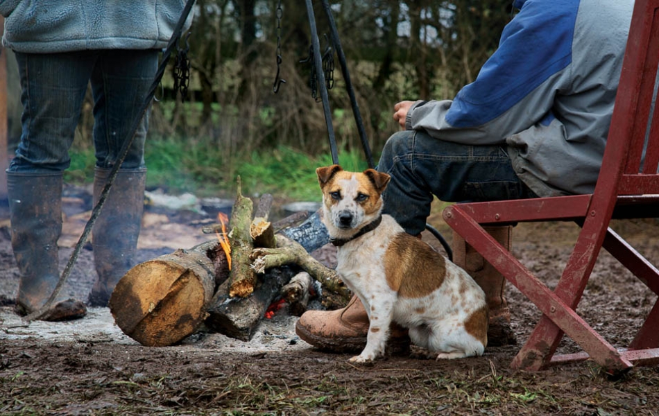 Colin Trow-Poole – Travellers